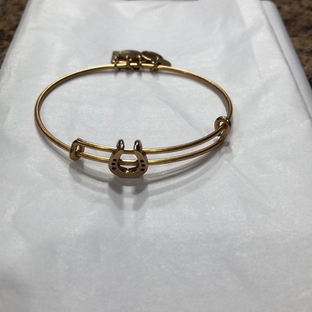 Alex and ani horseshoe bangle